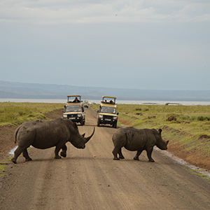 site de rencontre au kenya