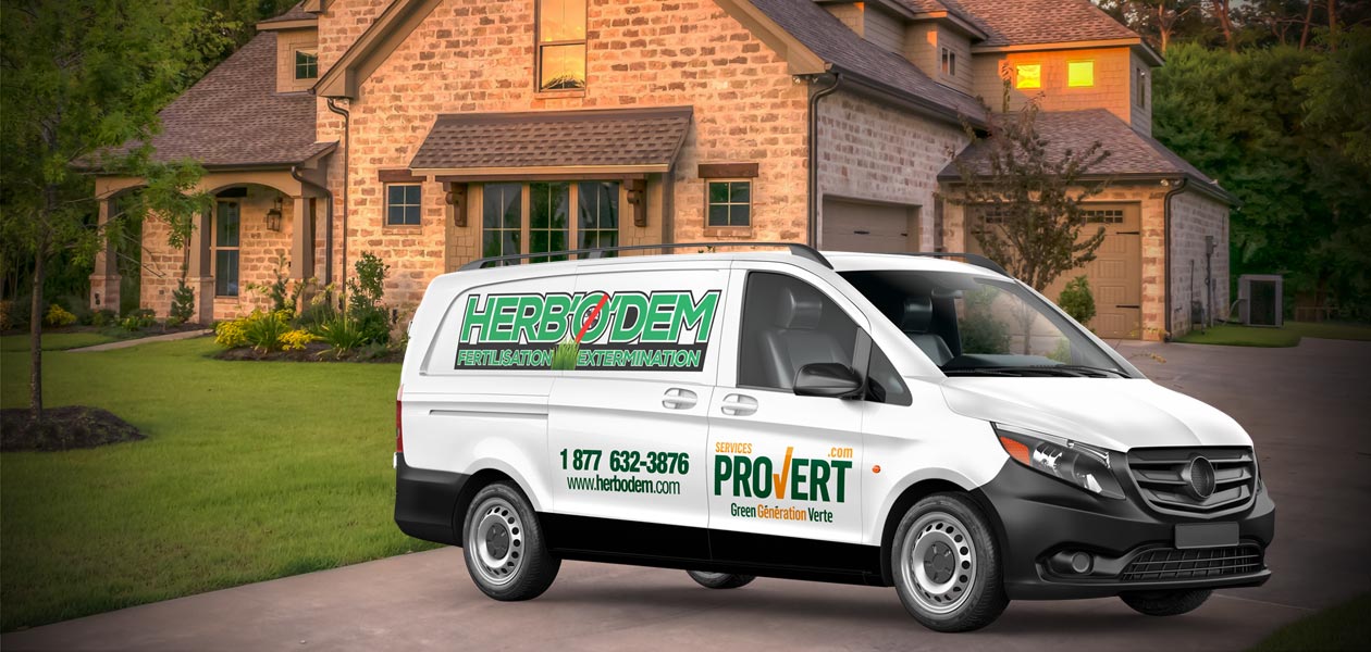 Herbodem