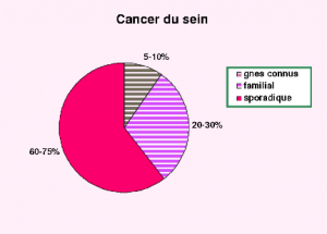 cancer_sein