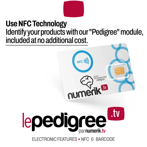 numerik.tv