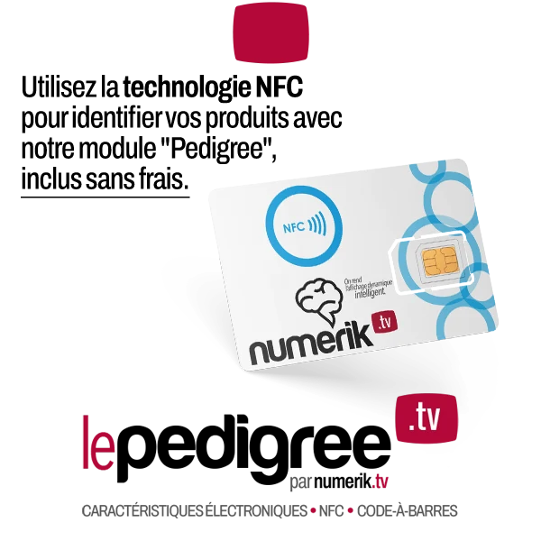 numerik.tv