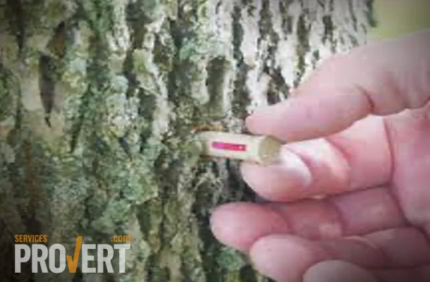 ACECAP : Destructions des insectes sans pulv&eacute;risation